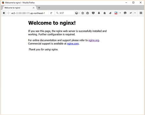 Nginx welcome screen